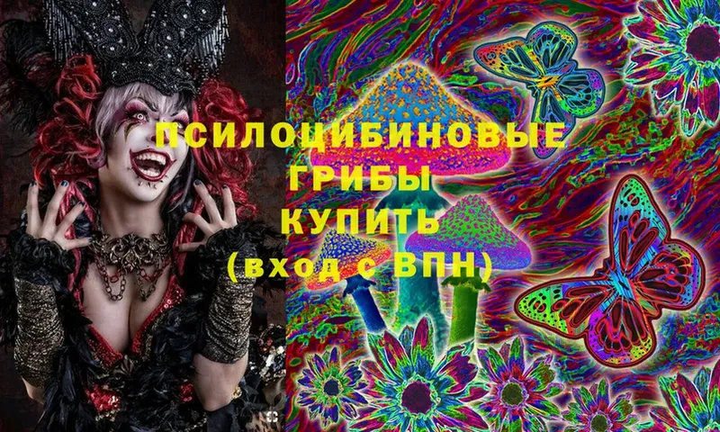 mega ссылки  дарнет шоп  Гусь-Хрустальный  Псилоцибиновые грибы Cubensis 